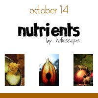 Nutrients Podcast - 10-14 (tiroko - lethe007 - shinywish)