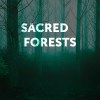 Sacred Forests (zoldszorny)