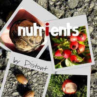 Nutrients - 15 (mittelfranke)