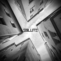 Solute (stefaneffenhauser)