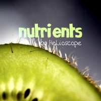 Nutrients - 18 (violently_chaotic)