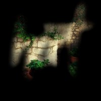 Hort 1 (fiorelladepietro)