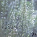 Fine Grain (dashakern)
