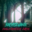 bachsilvania-bipplebehance