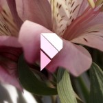 inkalilie-celestialbeantumblr