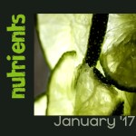 nutrients-january-17-ellejayedeeflickr