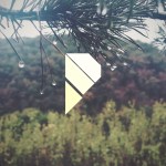 P71 (ds-photo)[tumblr]